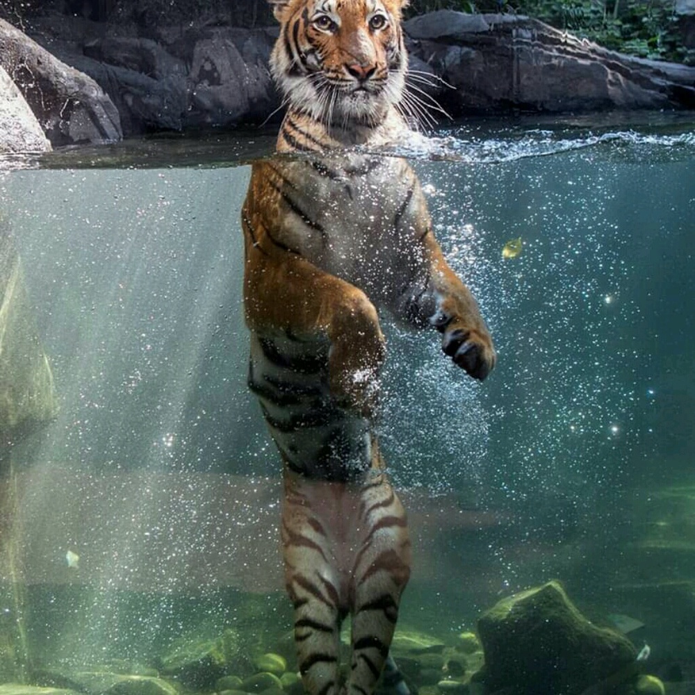 Meet your Posher, Sonja